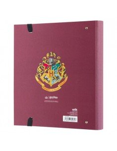 CARPETA 4 ANILLAS HARRY... 2