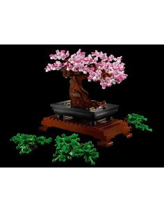 BONSAI 2