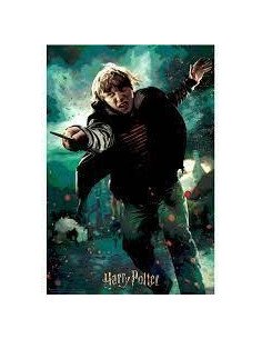 PZ  LENT.  HARRY POTTER RON WEASLEY BATA 2