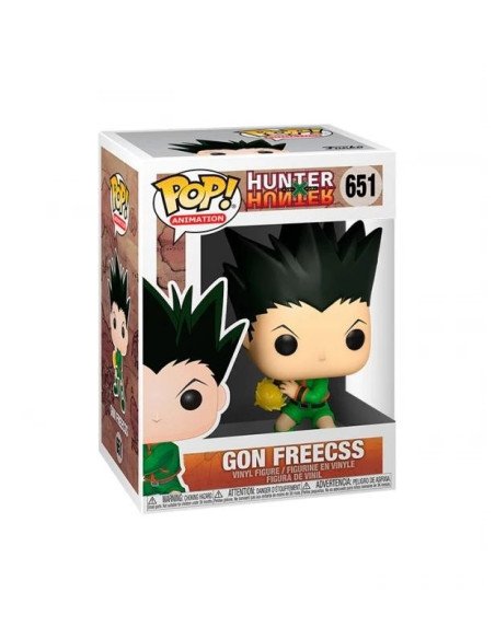 POP ANIMATION: HUNTER X HUNTER - GON FRE