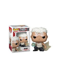 POP ANIMATION: FMA:B SCAR