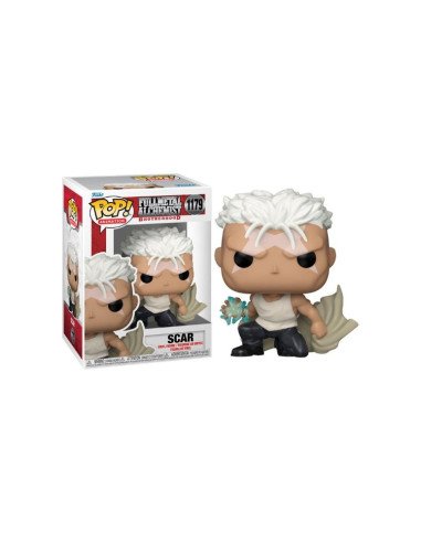 POP ANIMATION: FMA:B SCAR
