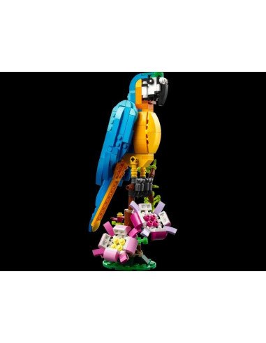 LORO EXOTICO