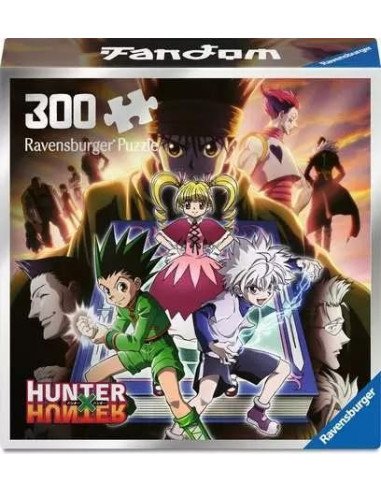 HUNTER X HUNTER 300 PC FANDOM