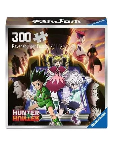 HUNTER X HUNTER 300 PC FANDOM