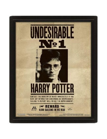 POSTER 3D HARRY POTTER SIRIUS