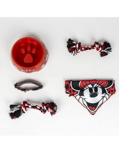 SET BIEMVENIDA MINNIE
