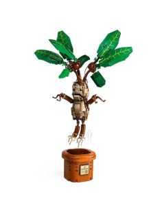 MANDRAGORA