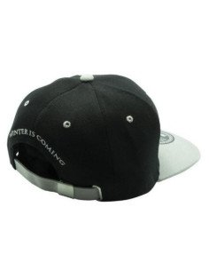 GAME OF THRONES CASQUETTE SNAPBACK- GRIS 2
